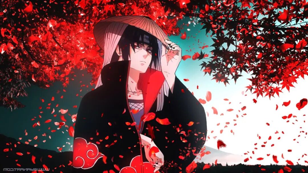 wallpaper电脑壁纸｜超清8K无水印电脑桌面壁纸80张