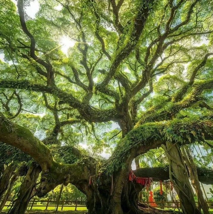 电脑壁纸｜电脑壁纸超清8k原图100张