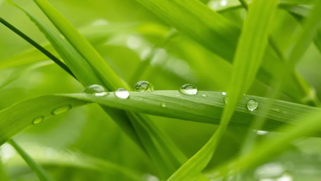 电脑壁纸｜超清8K无水印电脑桌面壁纸风景壁纸50张
