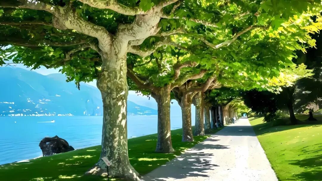 电脑壁纸｜电脑壁纸超清8k原图风景壁纸