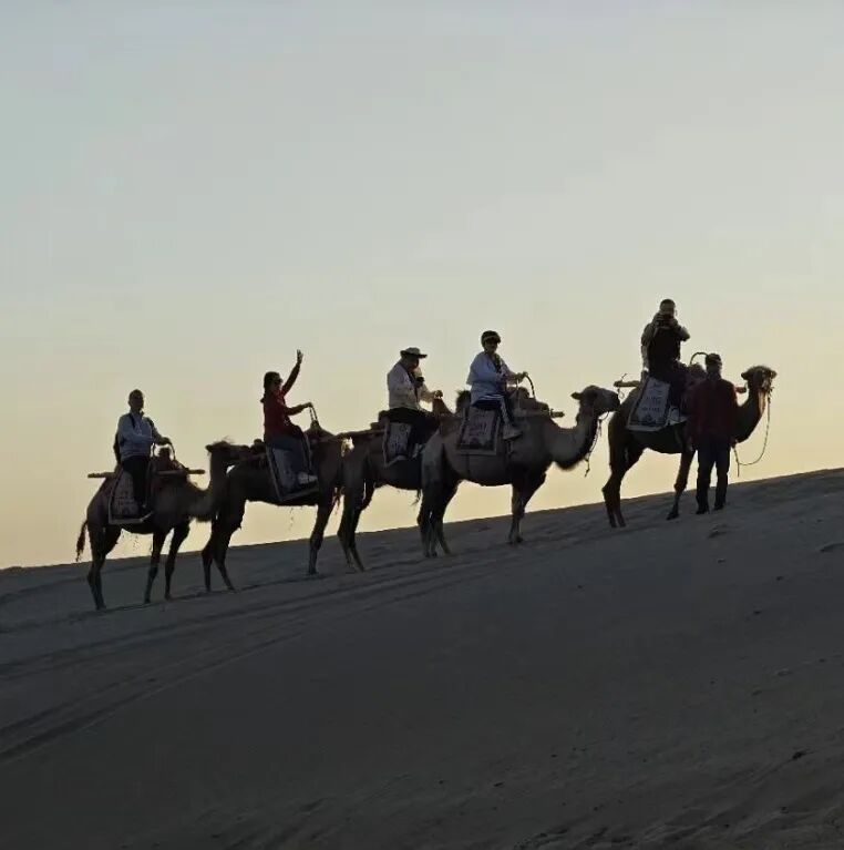 沙海征途，心向未来|2024广东省涂料与油墨行业戈壁徒步挑战之旅