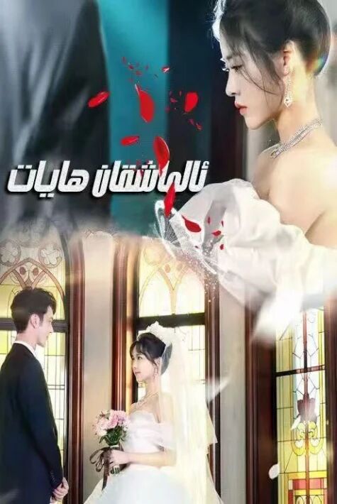 ئالماشقان ھايات ئوغۇرلانغان ھايات