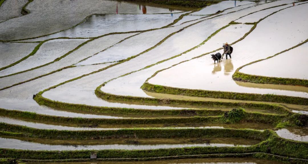 春耕表演来上堡梯田尽情撒欢吧!