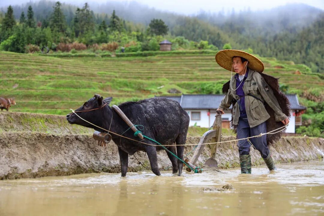 醉美春耕,乡约上堡!这些"五一"精彩活动等你来打卡!