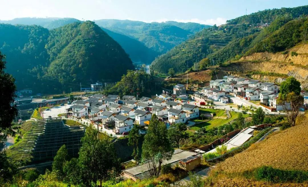 1669015970613955.jpg?x-oss-process=style/w10 图片