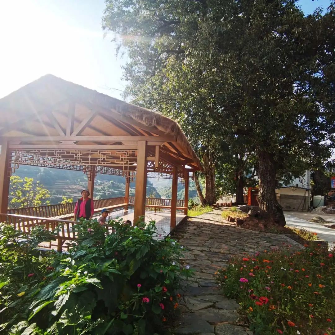 1669015927859276.jpg?x-oss-process=style/w10 图片