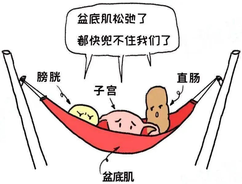 妇科磁疗怎么用的【好消息】盆底健康新起点！大连市中医医院盆底修复中心7月2日正式开诊啦！_https://www.jmylbn.com_新闻资讯_第9张