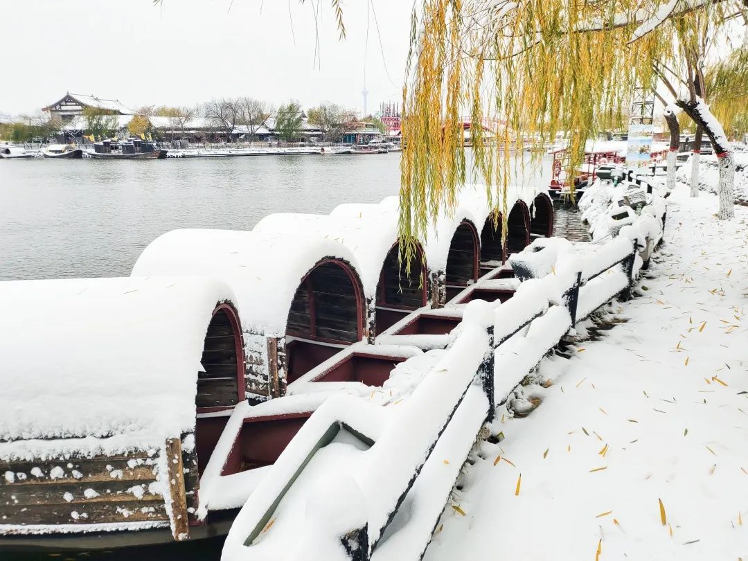 开封雪景图片