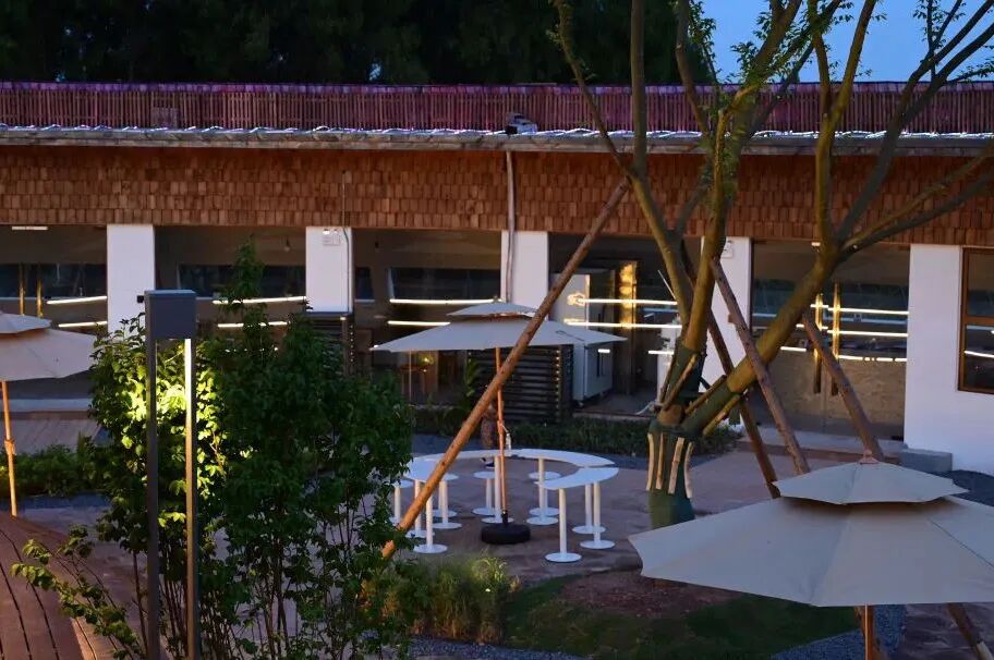 成都共居，沉浸式体验数字游民生活新方式！