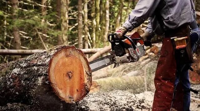 环保科普｜用纸有“度”，环保永驻