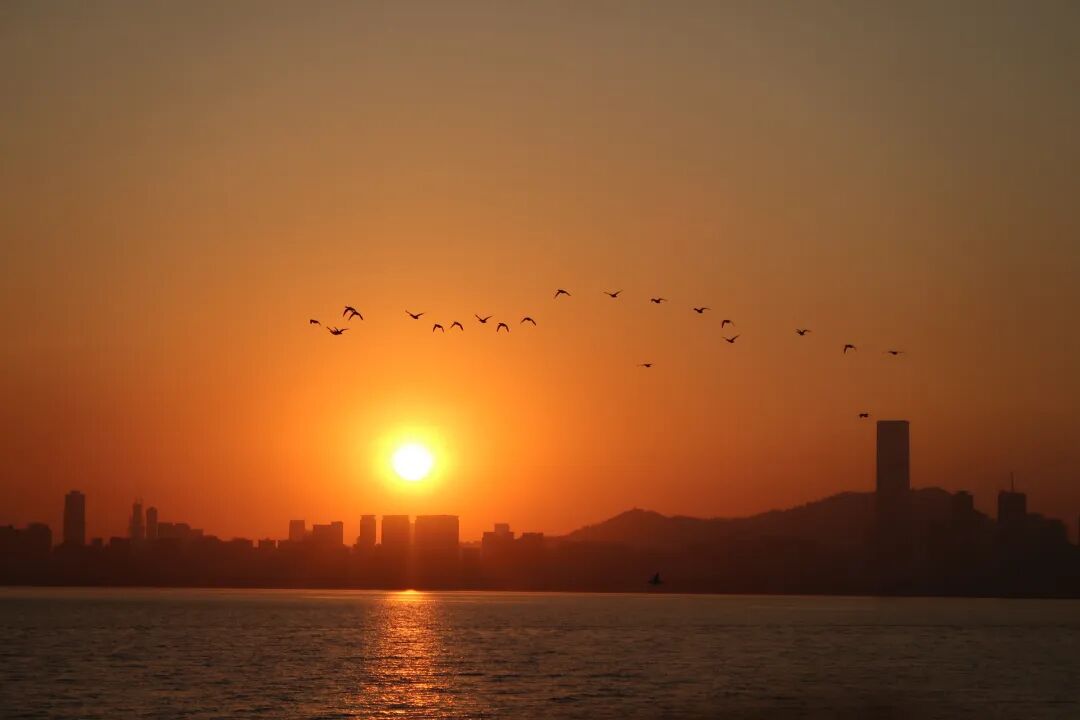 花呗逾期不还，会被起诉吗