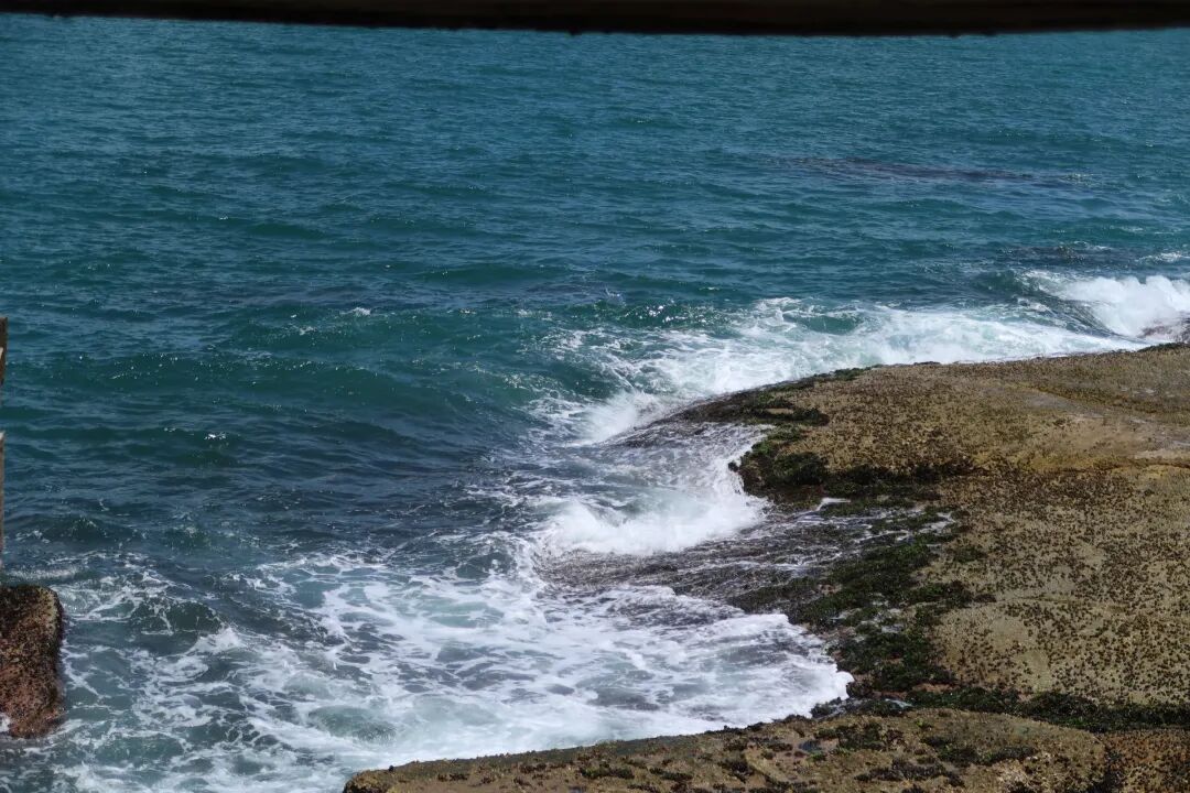 你了解蚂蚁花呗、京东白条的年化费率吗