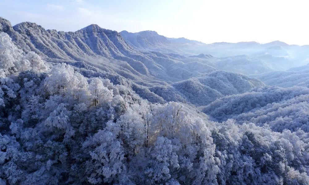 冬天的光雾山,褪去了红叶飞舞的衣装,换上了云雾缭绕的霓裳,每逢降雪