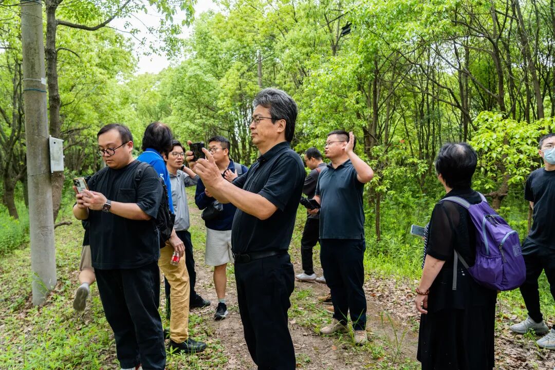 南上海体育中心（奉贤新城CAZ首发项目）建筑概念设计国际方案征集(图8)