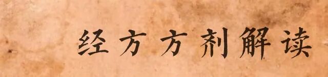 100首经方方剂解读——五苓散葫芦李