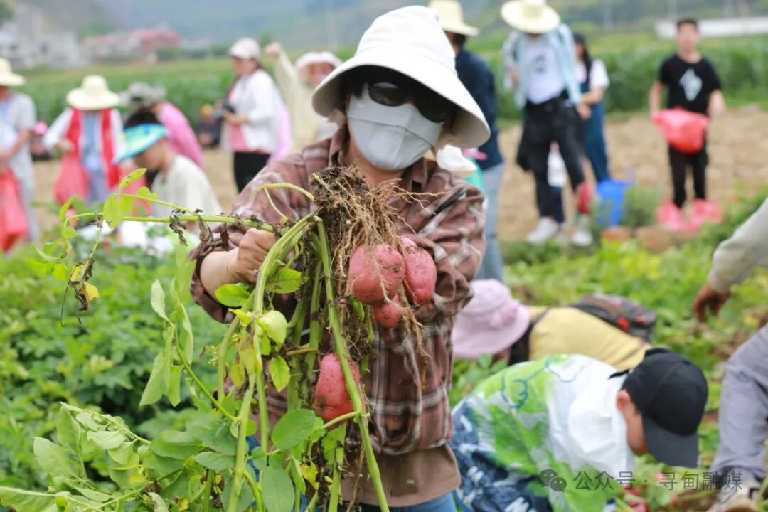 农耕乡愁体验活动启动仪式