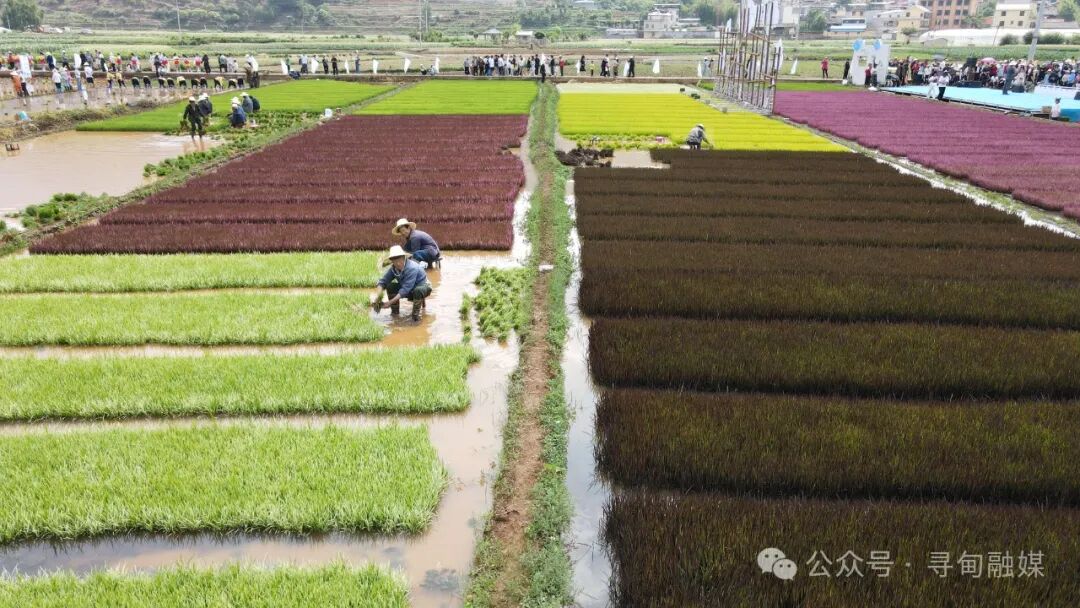 农耕乡愁体验活动启动仪式