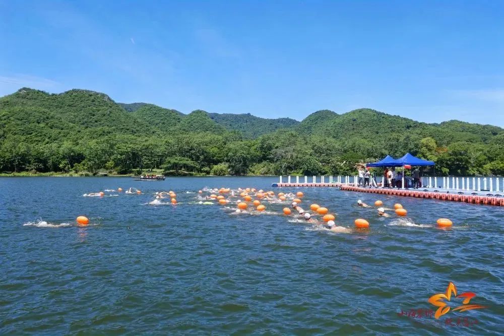 端午文旅消费成绩单亮眼