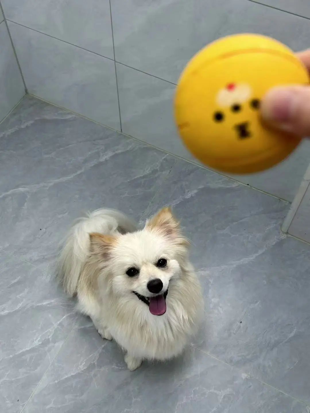 歹加个员