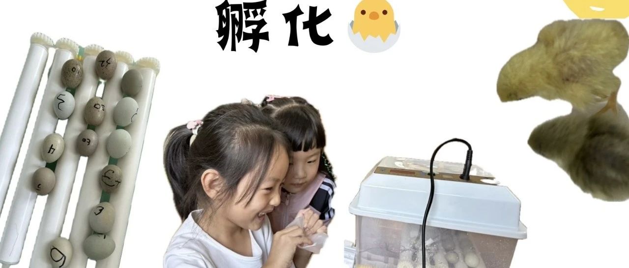 cover_image