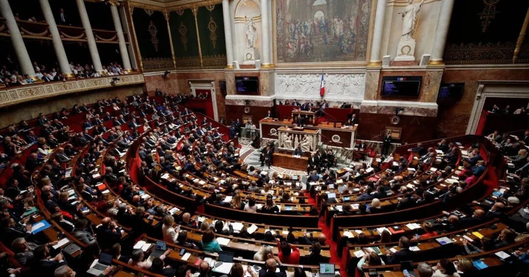 最近，一团乱糟糟，黑天鹅来了