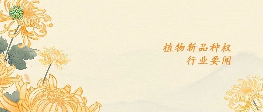 cover_image