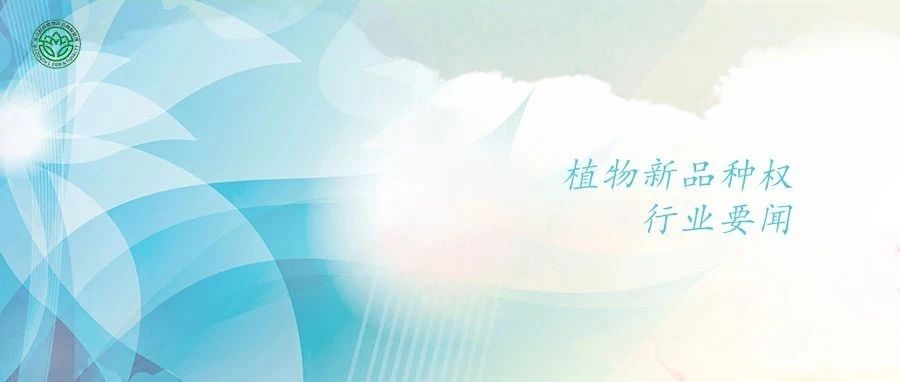 cover_image