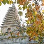 文章封面