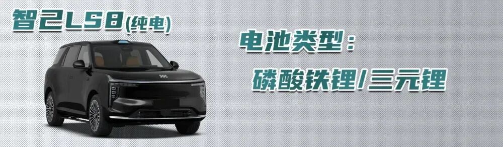 智己LS8纯电版完成申报：同价位最大五座、线控转向或标配！