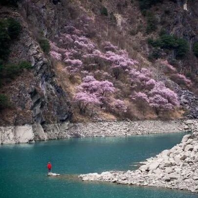 成都汽车消费节联合叠溪松坪沟风景区,向所有粉丝送免费门票大礼包啦!