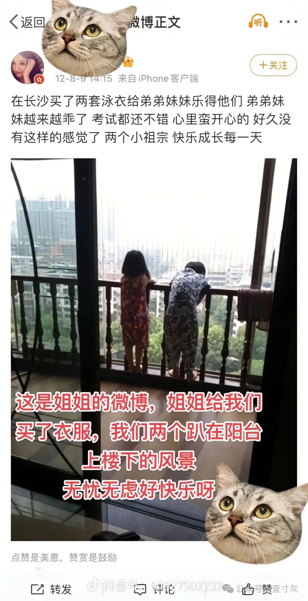 谭竹无罪倒是胖猫姐姐人设崩塌背后一个更要命问题