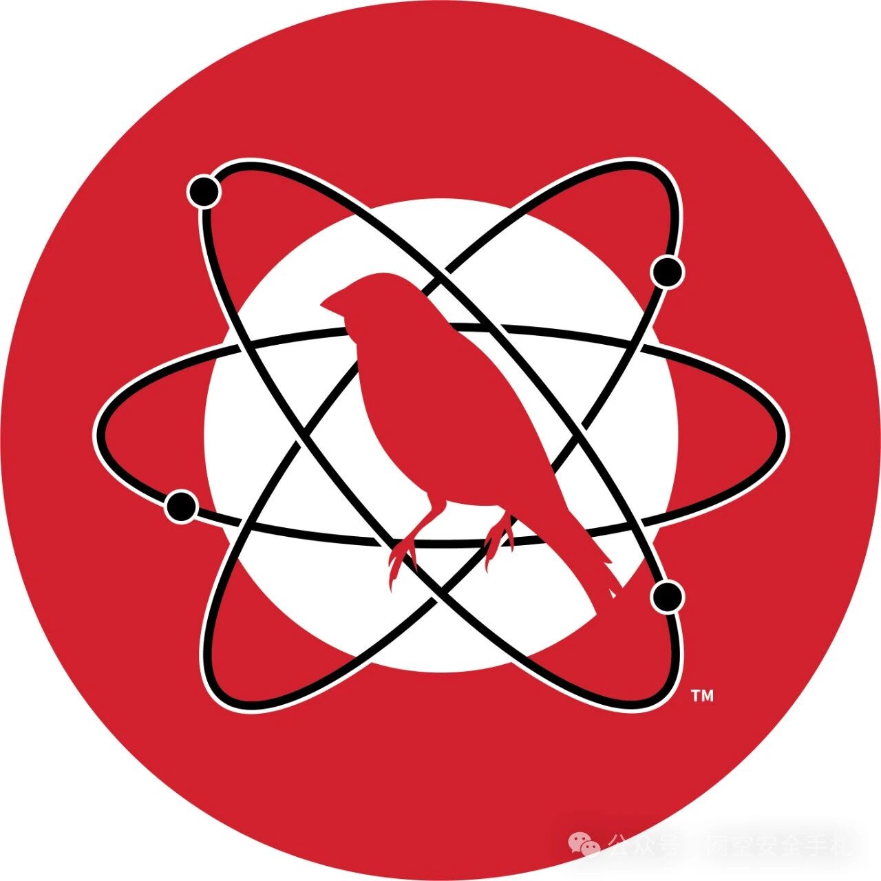 Example Image