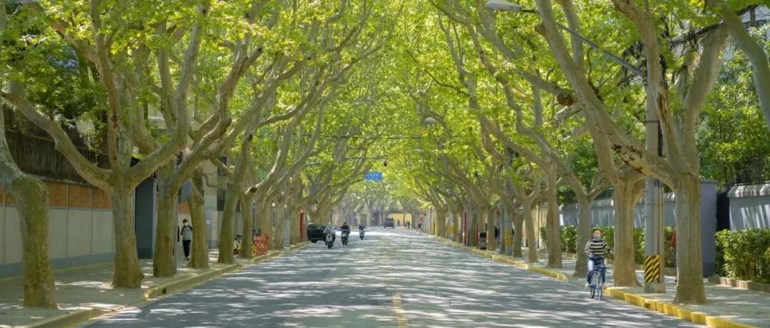 悟道君聊大A：谨防长阴，给读者们的三大提醒！