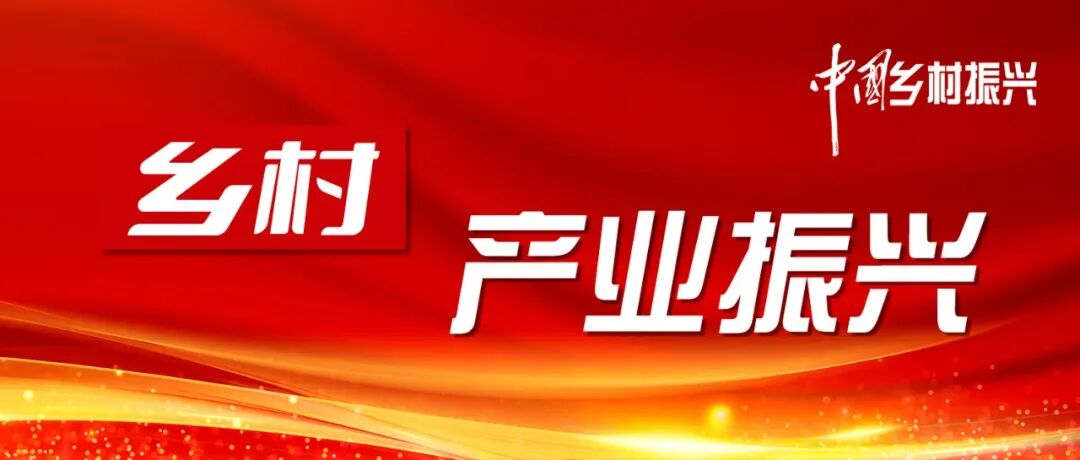 大同市委书记谈做强现代农业:要有"跳出农业抓农业"的思维