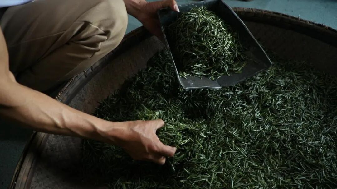 文化绍兴家门口的风景丨云松茶事完整版