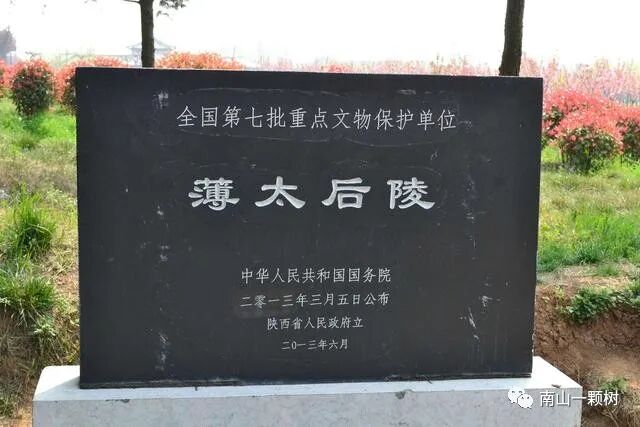 神禾塬大墓主人_大墓塬墓地_神禾塬大墓