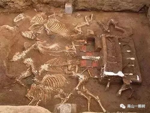 神禾塬大墓_大墓塬墓地_神禾塬大墓主人