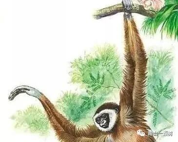 神禾塬大墓主人_神禾塬大墓_大墓塬墓地