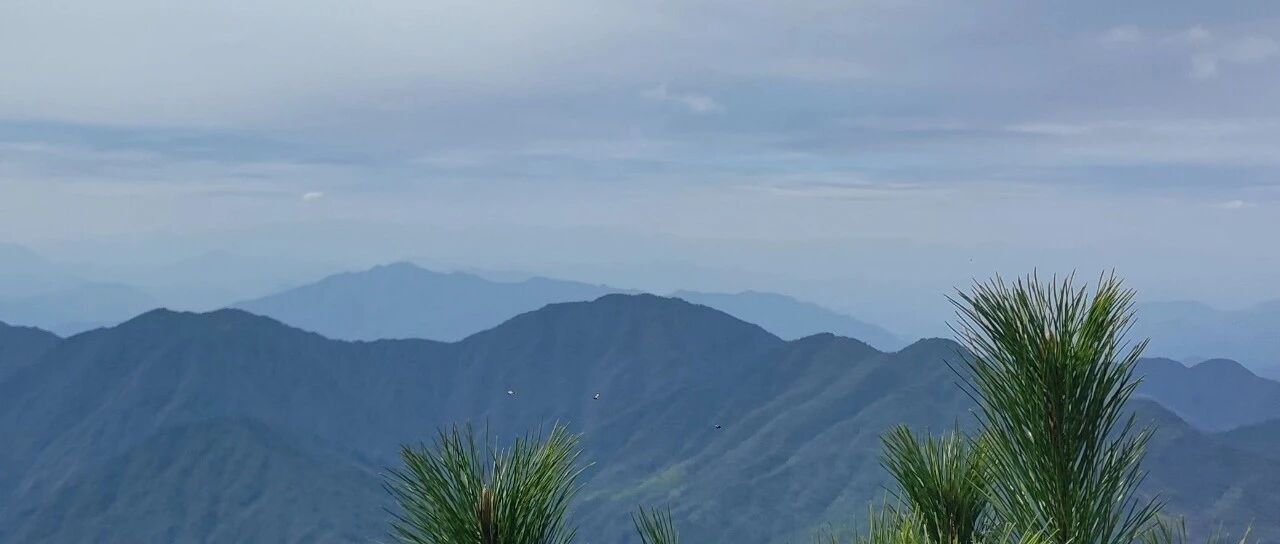 《高中物理经典题手册》获百多条评价，如此赞美，内啡肽满满！