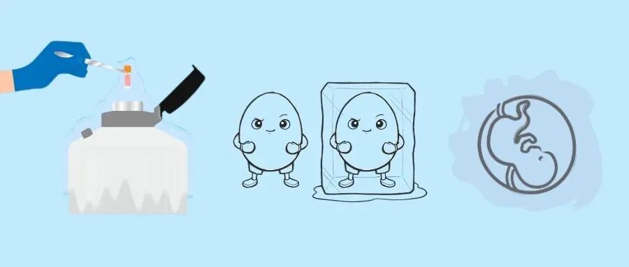 选择比努力重要！试管过程中做好决策，可提高12%活产率