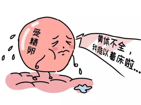 怀得好好的怎么突然就胎停了？