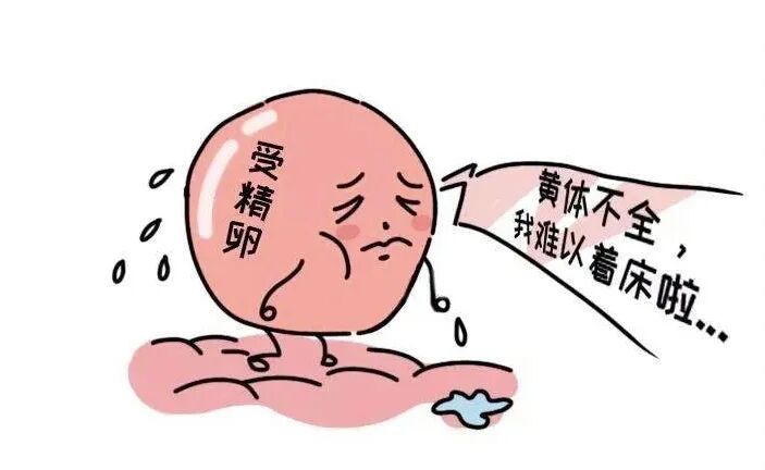 最容易忽略，却是试管失败的重要原因！