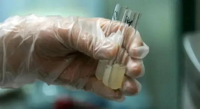 一直怀不上，该怎么办？