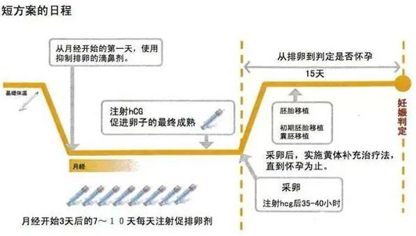 做试管婴儿，哪个促排方案成功率最高？