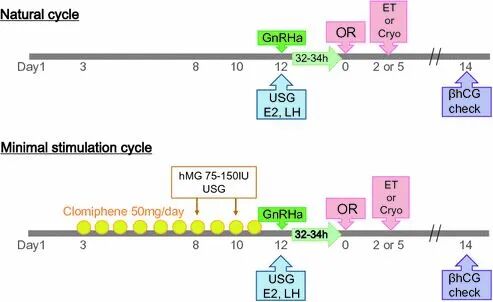 做试管婴儿，哪个促排方案成功率最高？