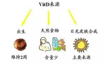 从备孕到怀孕，不能缺这7大营养素！