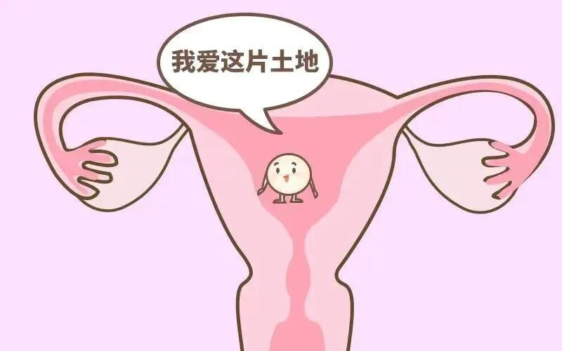 “保胎界的新宠”——低分子肝素！