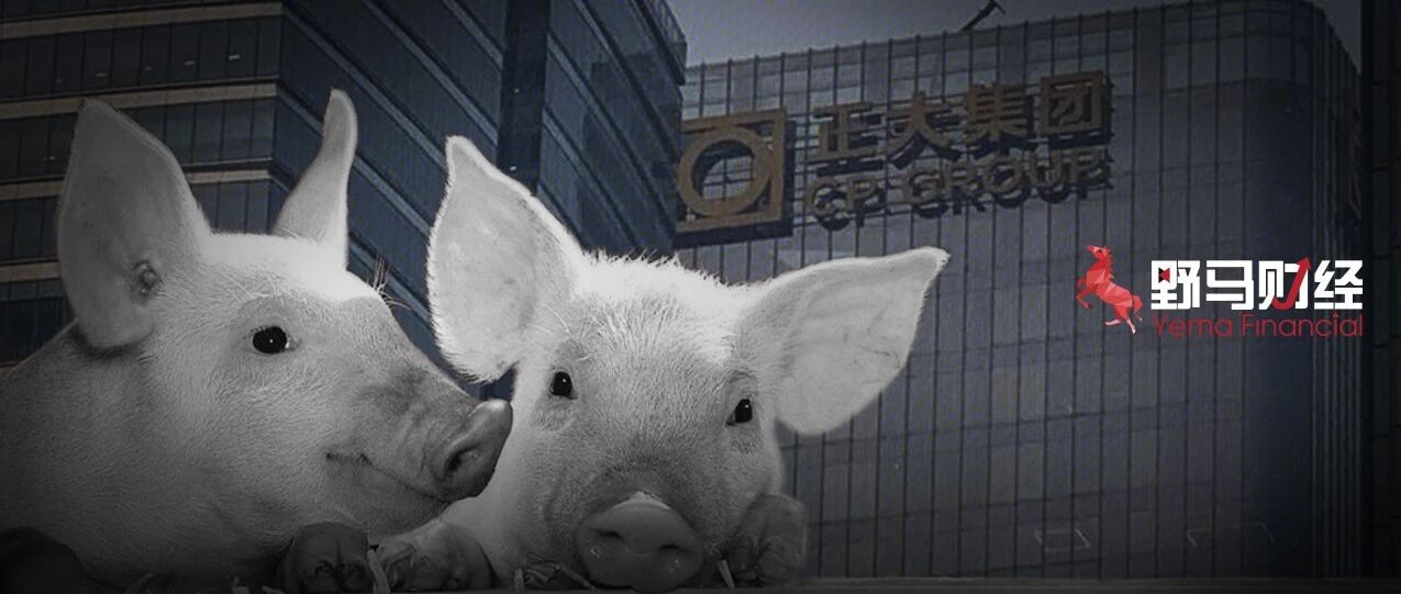 泰国首富要来A股“养猪”，2020年148亿关联交易，成IPO拦路虎？