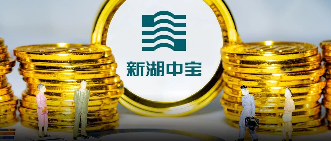 新湖中宝构建地产+金融+高科技驱动，从资源型企业到成长型企业