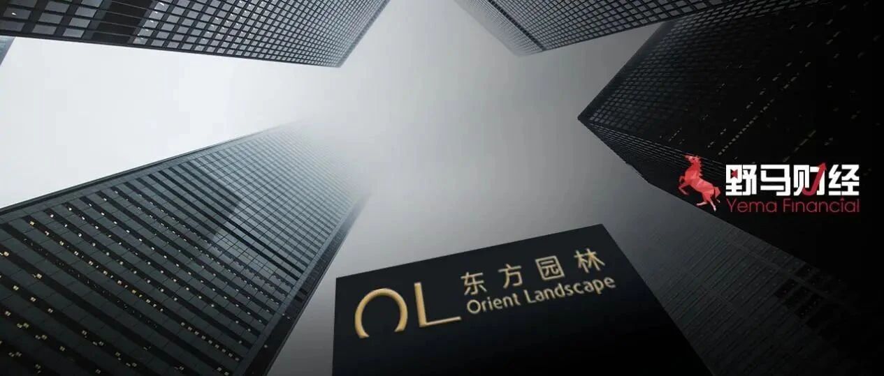 从“女首富”到“女首负”！何巧女被15家金融机构逼债